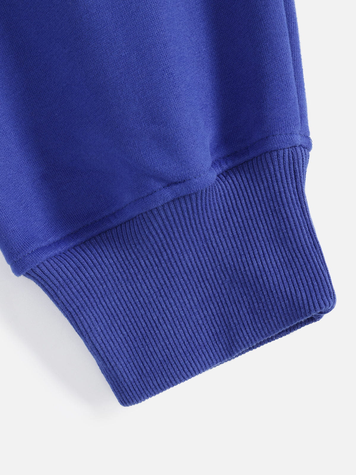 Aelfric Eden Boxy Dachshund Graphic Hoodie