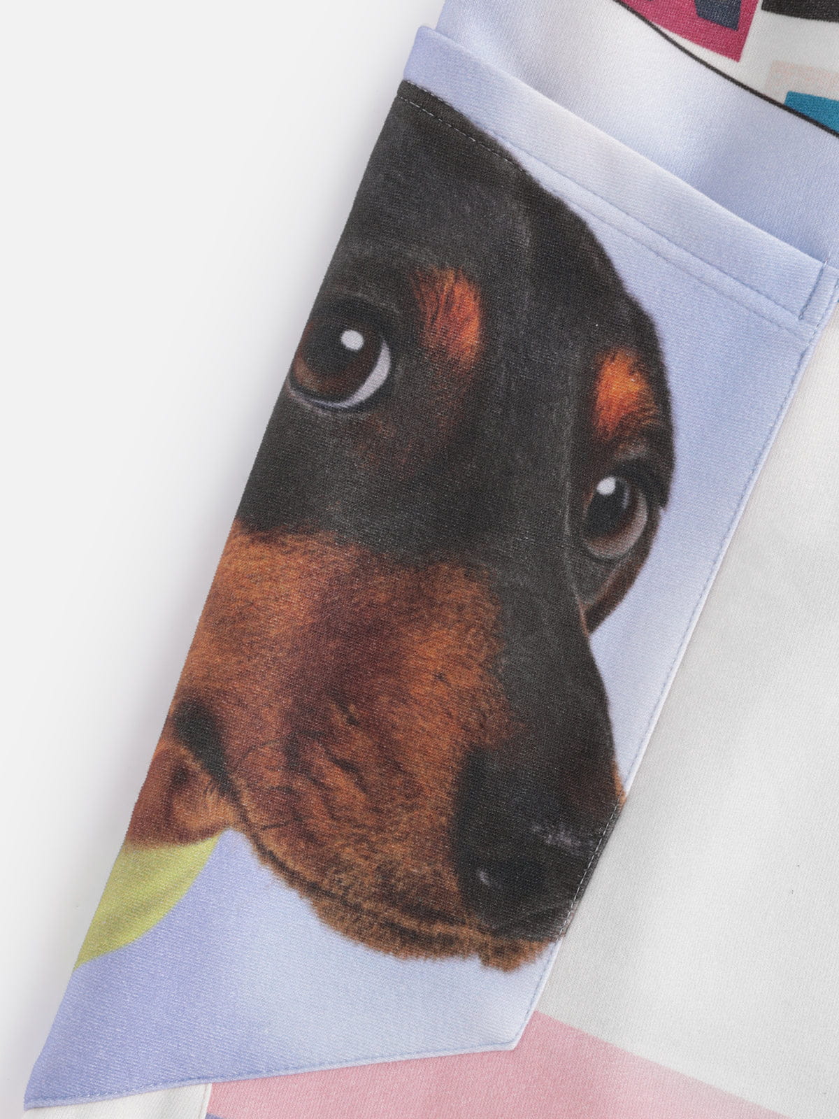 [Pre-Order] Aelfric Eden Dachshund Collage Double Waist Baggy Sweatpants