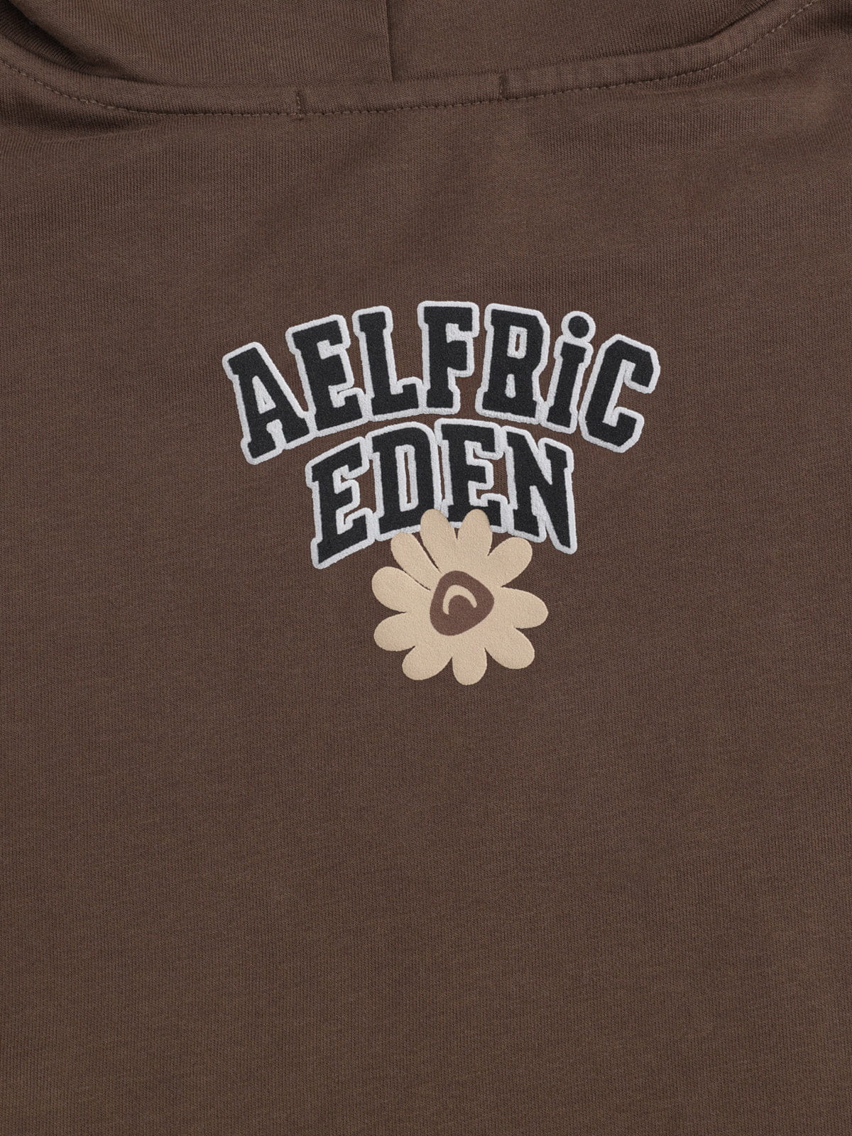 [Pre-Order] Aelfric Eden Oversized Flower Graphic Pullover Hoodie