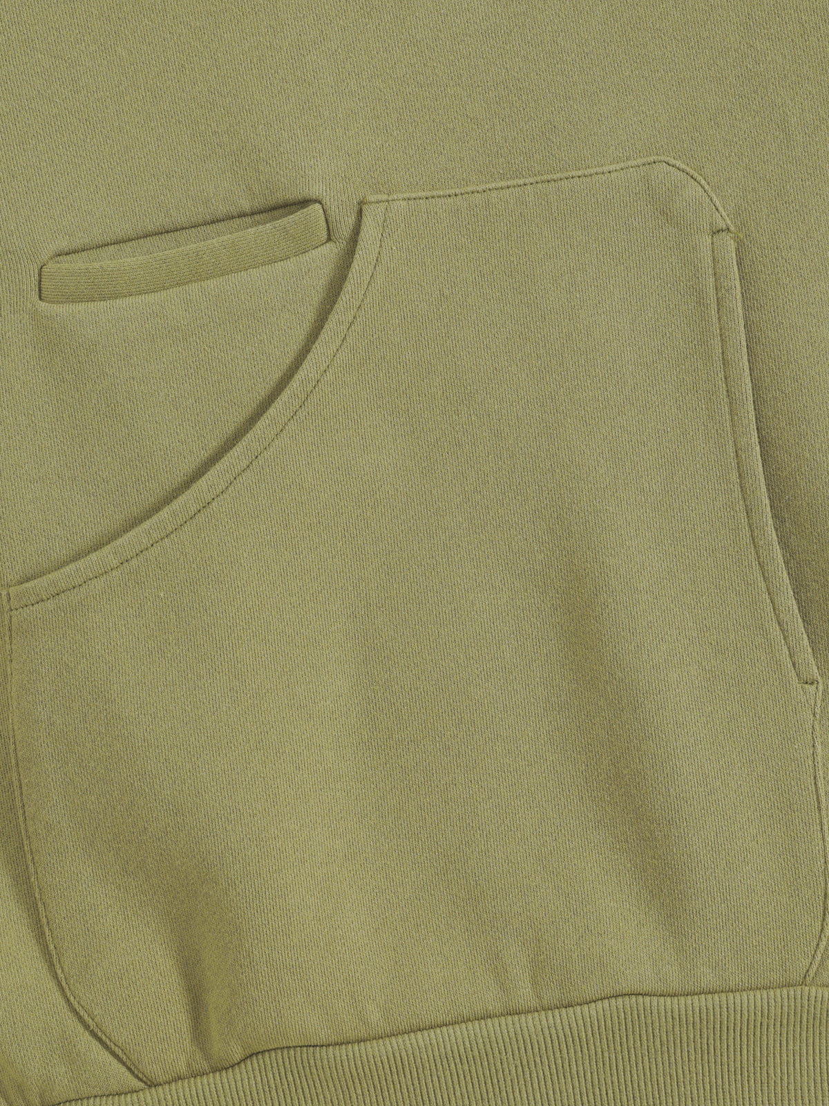 Aelfric Eden Boxy Embroidered Floral Pullover Hoodie