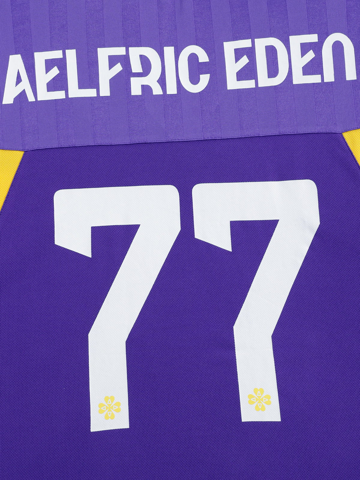 Aelfric Eden 77 V-Neck Jersey