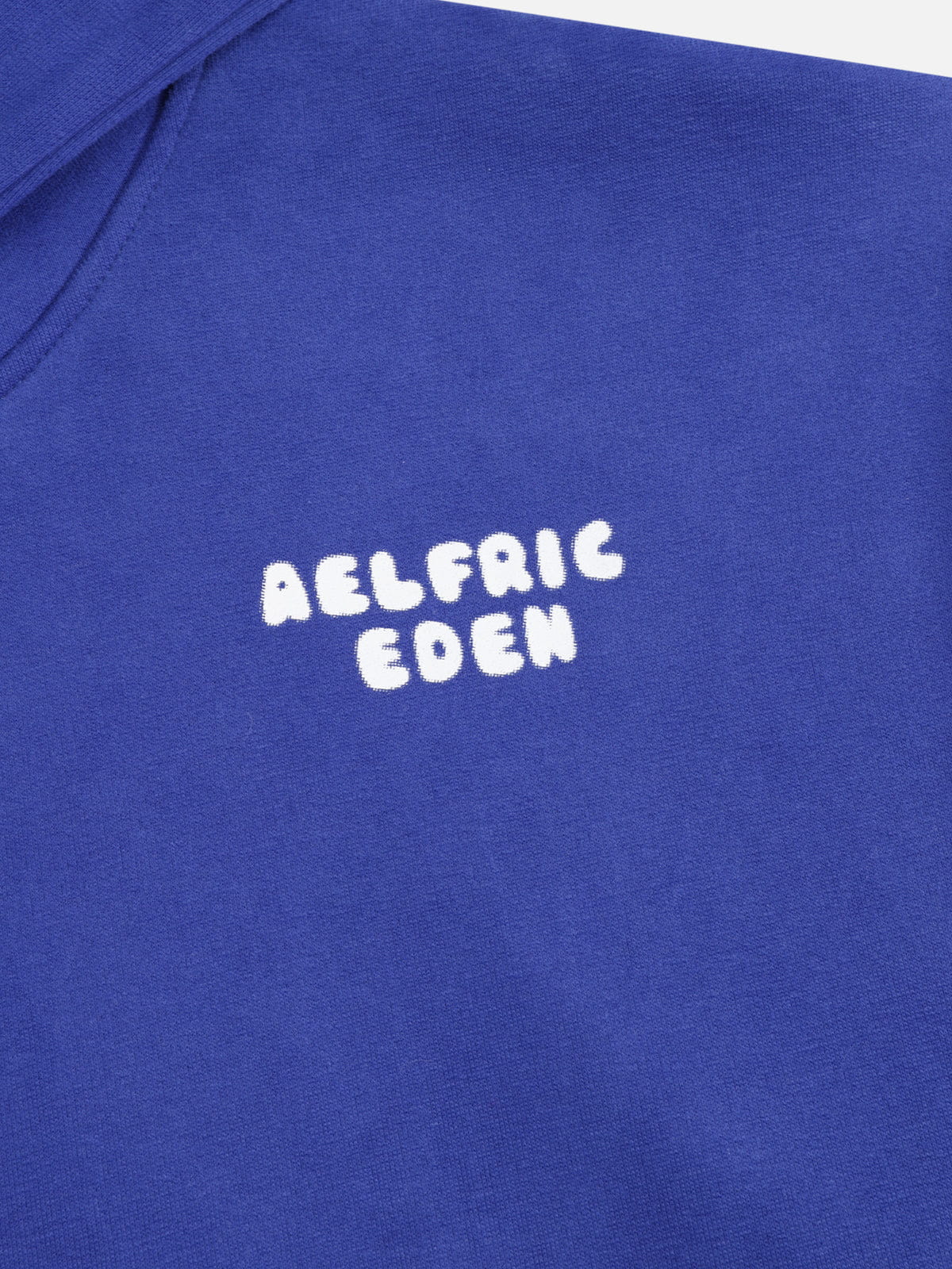 Aelfric Eden Boxy Dachshund Graphic Hoodie