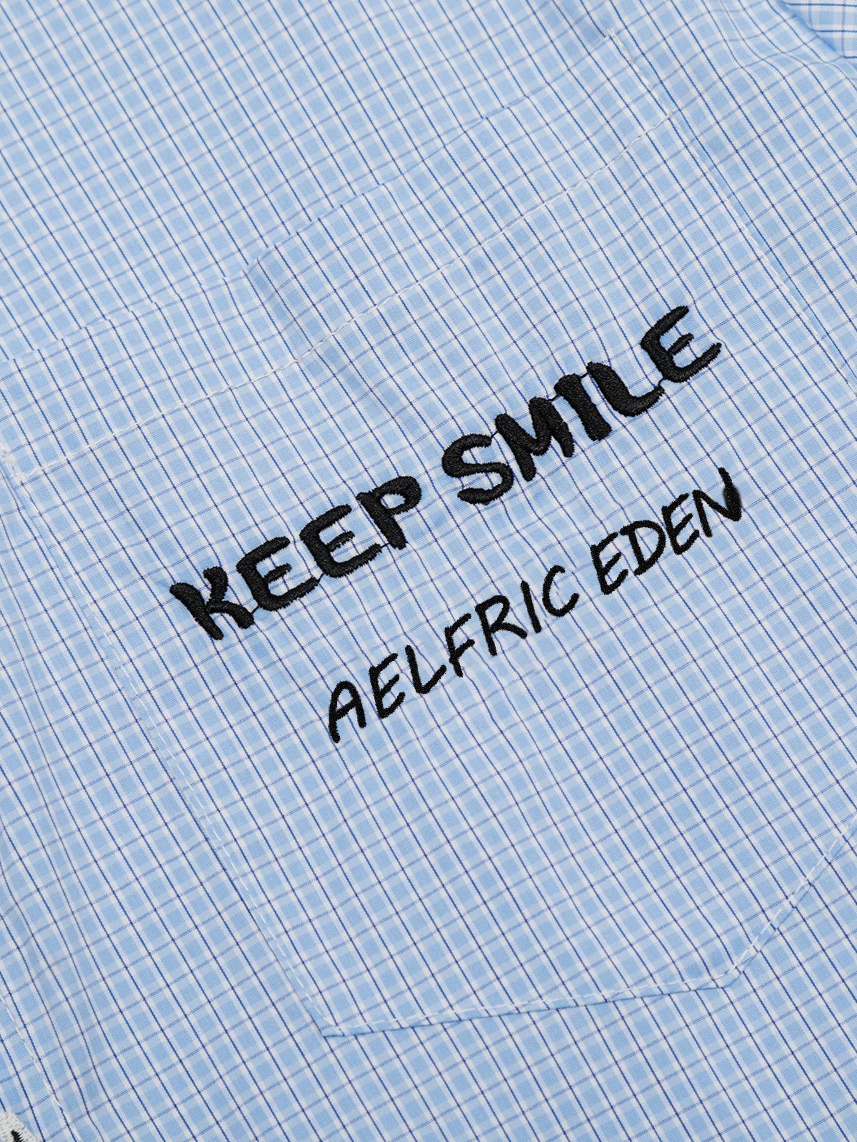 Aelfric Eden Pubby Embroidery Plaid Shirt